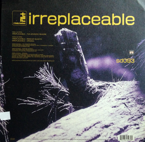 last ned album The Funky Lowlives - Irreplaceable