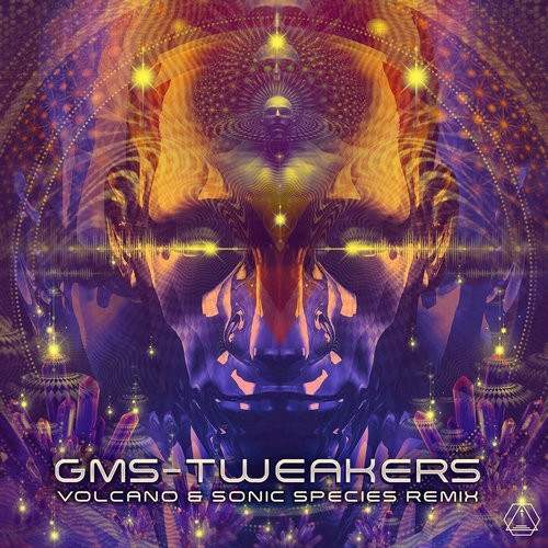 télécharger l'album GMS - Tweakers Volcano Sonic Species Remix