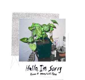 Hello, I'm Sorry - Know A Man / It's Fine album cover