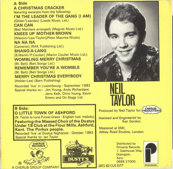 last ned album Neil Taylor - A Christmas Cracker