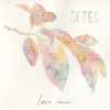 Setec (2) - Loose Leaves