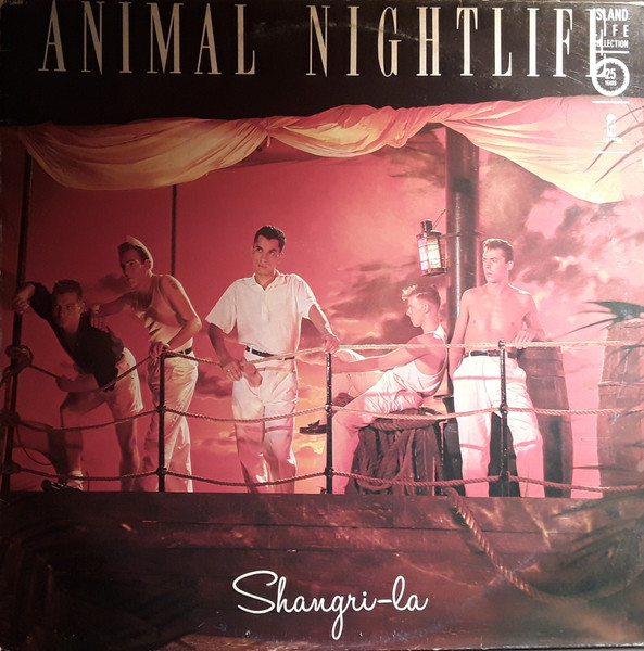 Animal Nightlife - Shangri-La | Releases | Discogs