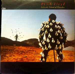 Delicate Sound of Thunder - Pink Floyd - Vinile