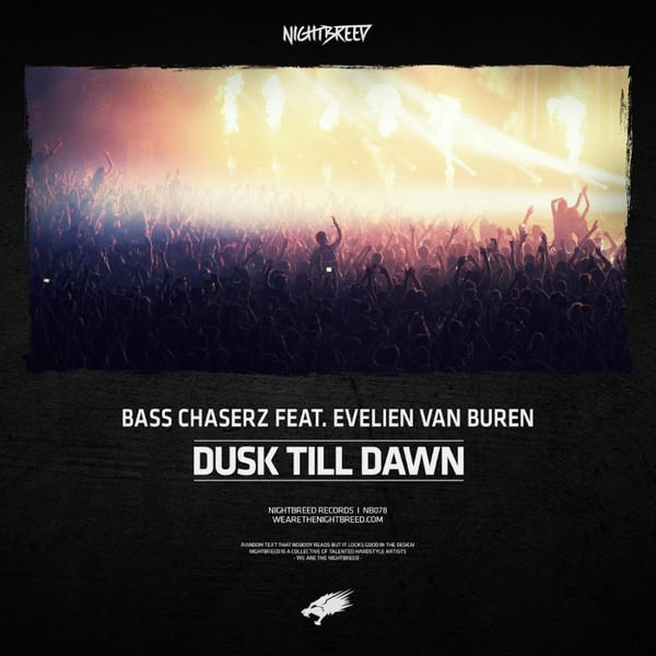 lataa albumi Bass Chaserz Feat Evelien Van Buren - Dusk Till Dawn