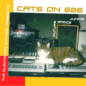 ladda ner album Future Space Junkie - Cats On 626