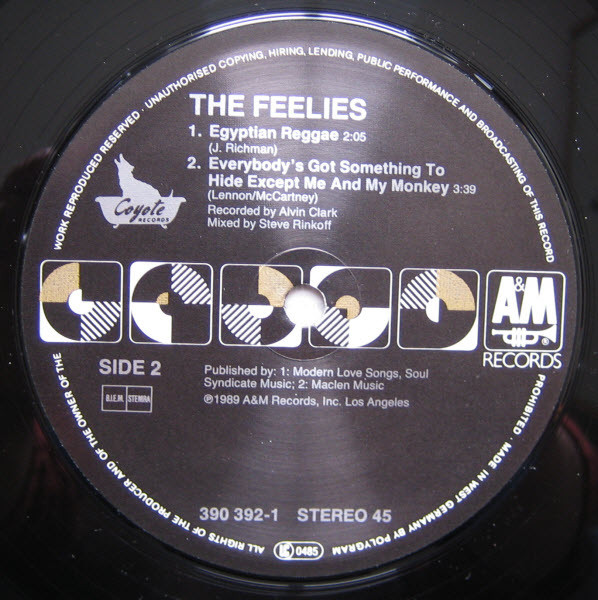 Album herunterladen The Feelies - What Goes On