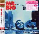 Mr. Big - Bump Ahead | Releases | Discogs