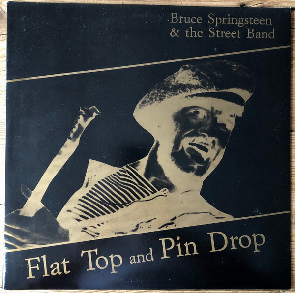 Bruce Springsteen Flat Top And Pin Drop Vinyl Double Album Record