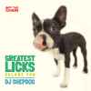 DJ Shepdog - Greatest Licks Volume Two