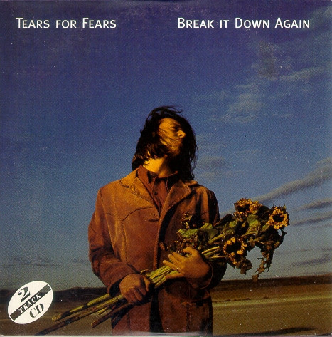 tears for fears break it down again (tradução) 