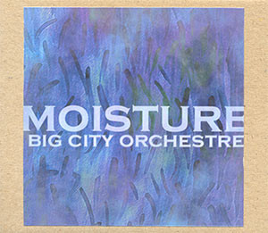 ladda ner album Big City Orchestre - Moisture