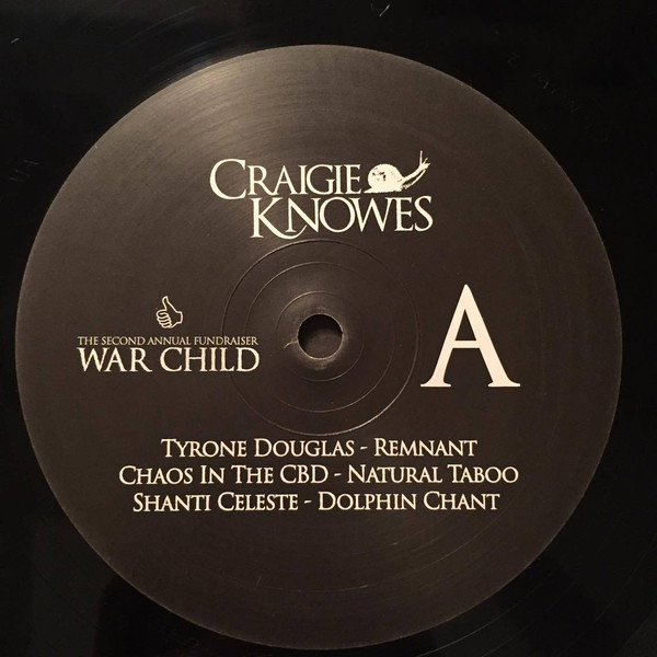 lataa albumi Download Various - The Second Annual Fundraiser War Child album