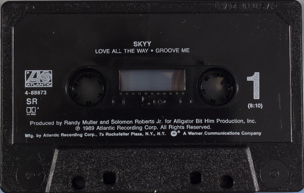 ladda ner album Skyy - Love All The Way