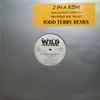 2 In A Room Featuring Dose Material - Do What You Want (Todd Terry Remix)