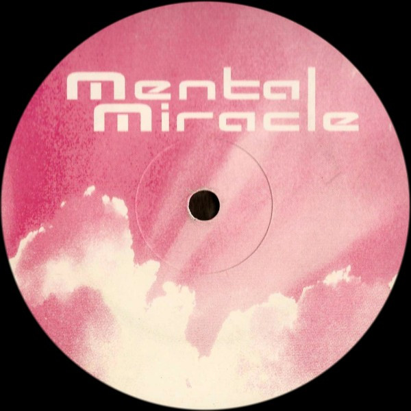 descargar álbum Mental Miracle - After The Storm