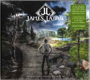 James LaBrie - Beautiful Shade Of Grey album cover