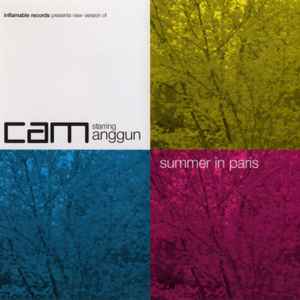 DJ Cam - Summer In Paris album cover