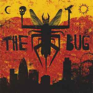 London Zoo - The Bug