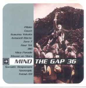 Mind The Gap Volume 36 - Various