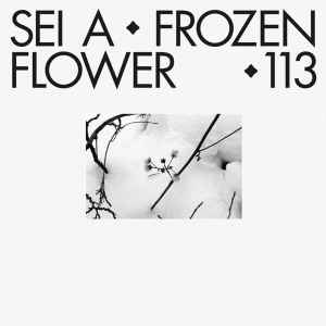 Sei A - Frozen Flower album cover