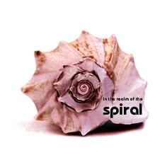Spiral - In The Realm Of The Spiral album cover