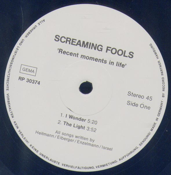 descargar álbum Screaming Fools - Recent Moments In Life
