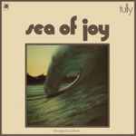 Cover of Sea Of Joy, 2016, Vinyl
