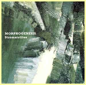 Stromatolites - Morphogenesis