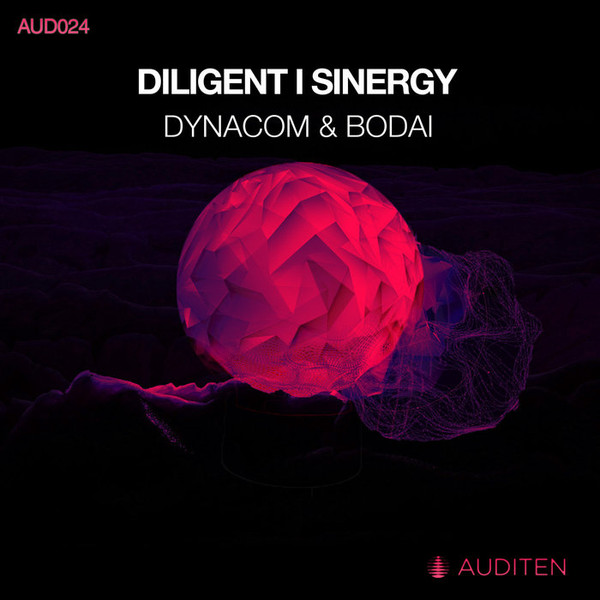 ladda ner album Dynacom & Bodai - Diligent Sinergy