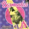 Barmudas - Every Day Is Saturday Night