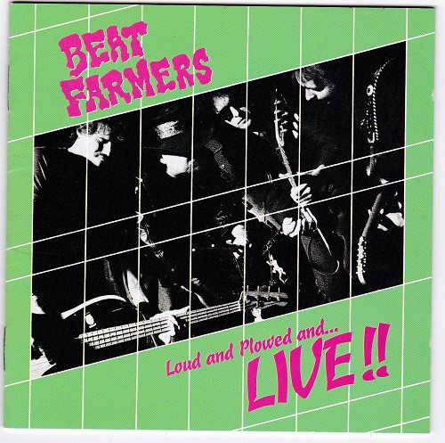 逸品】 アーティスト名 Beat Farmers 洋楽 - beststoragealaska.com