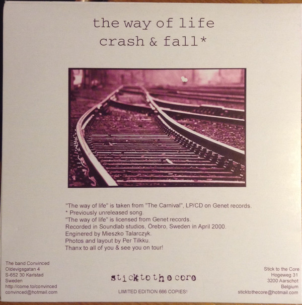 baixar álbum The Band Convinced - The Way Of Life