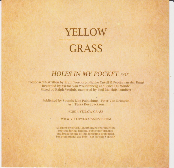 baixar álbum Yellow Grass - Holes In My Pocket