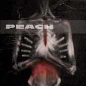 Peach – Giving Birth To A Stone (2000, CD) - Discogs