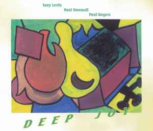 Tony Levin (2) - Deep Joy album cover