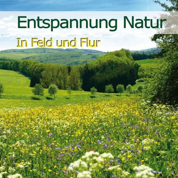 Album herunterladen KarlHeinz Dingler - Entspannung Natur In Feld Und Flur