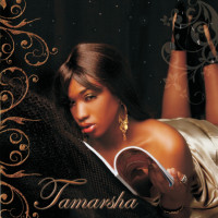 Album herunterladen Tamarsha - I Aint Givin Up