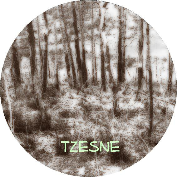 descargar álbum Tzesne - Crossing TierraHueca