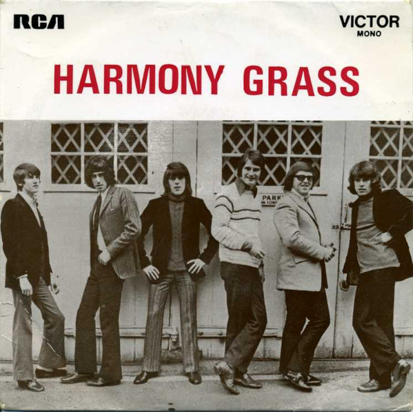 last ned album Harmony Grass - First Time Loving
