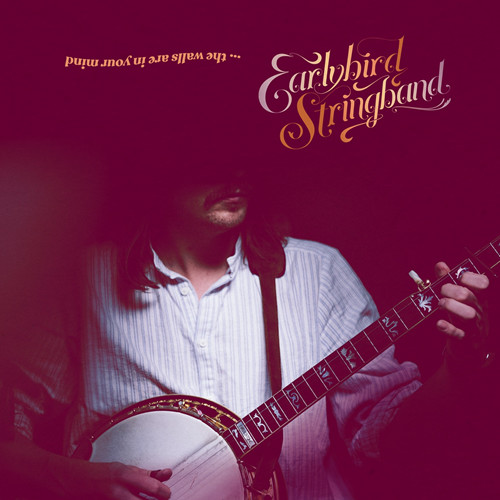télécharger l'album Earlybird Stringband - The Walls Are In Your Mind