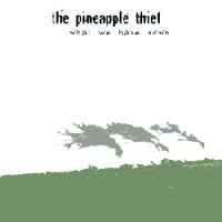 The Pineapple Thief - What We Have Sown album cover