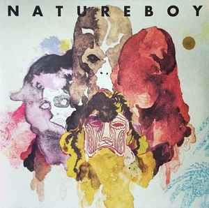 fLako - Natureboy album cover