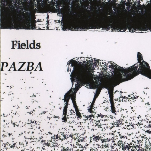 télécharger l'album Pazba - Fields