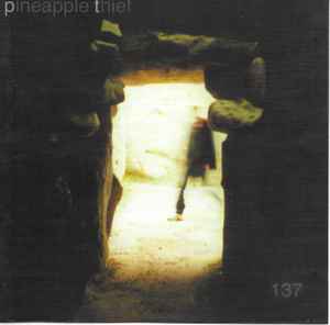 The Pineapple Thief - 137 album cover