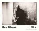 last ned album Manu Dibango - Idiba Ngolowake