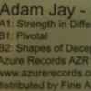 Adam Jay - Strength In Difference
