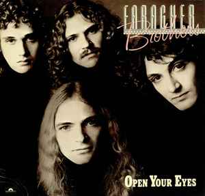 Faragher Bros - Open Your Eyes album cover
