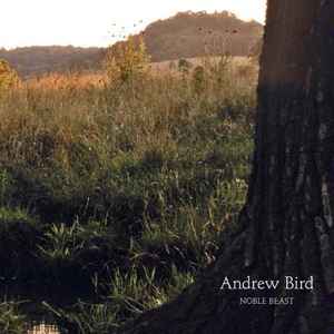 Andrew Bird - Noble Beast album cover