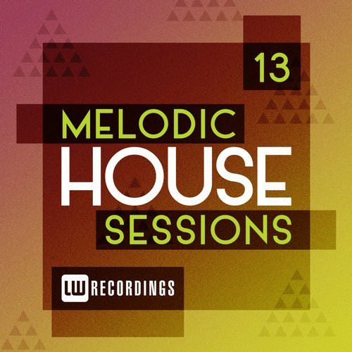 ladda ner album Various - Melodic House Sessions 13