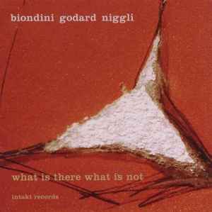 What Is There What Is Not - Biondini, Godard, Niggli